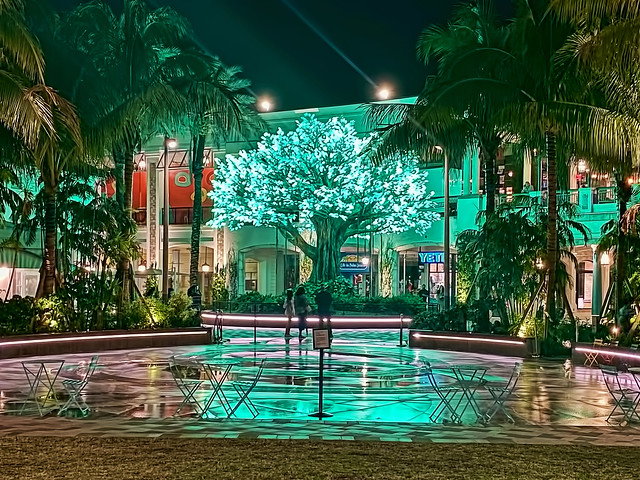 The Wishing Tree, Rosemary Square, West Palm Beach, Florida, USA / Created By: Symmetry Labs
