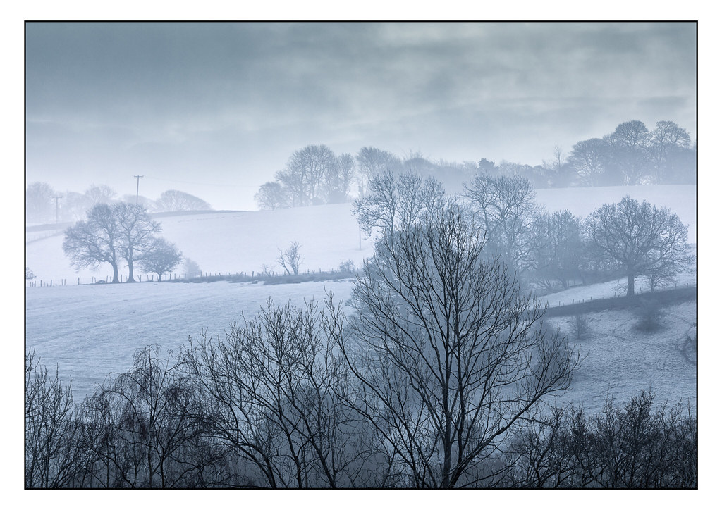 Misty Winter Morning 8232