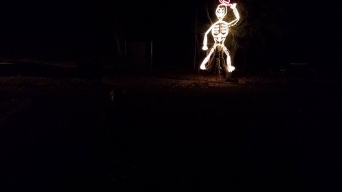 Halloween - Fun in the sun