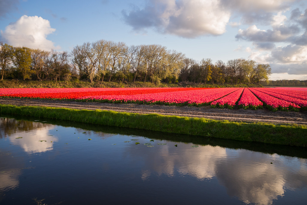 Spring in Holland | R Boed | Flickr