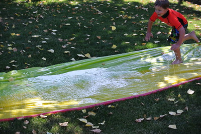 Kids having fun in the sun - 2015
