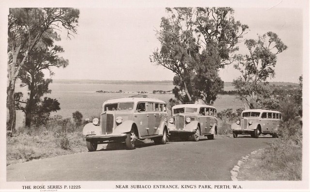 Taken near Subiaco Entrance, King's Park, Perth, W.A. - 1936