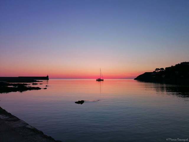 Voilier au milieu de la baie de Collioure au lever du soleil