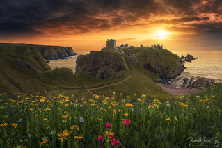 Spring is coming at the last Bastion - Dunnottar Castle (Stonehaven, Scotland, United Kingdom)
