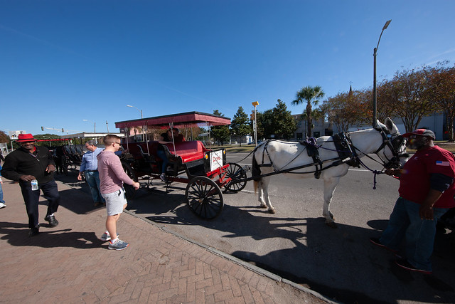 Horse Drawn Carriage Ride, New Orleans