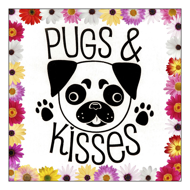 Pugs and Kisses