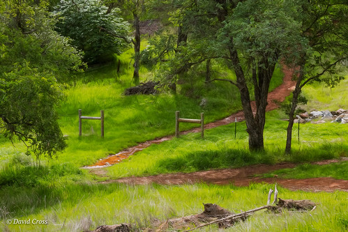 california landscape spring sierranevadafoothills muddypath canonef24105mmf4lisusm lightroom6 topazstudio auburn placercounty hiddenfallsregionalpark canon5dmarkiii