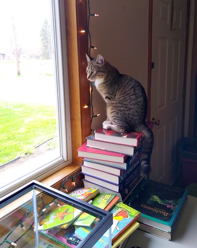 may spring pets cat books