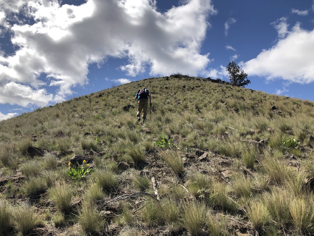 Hiking in the Spring Basin Wilderness
