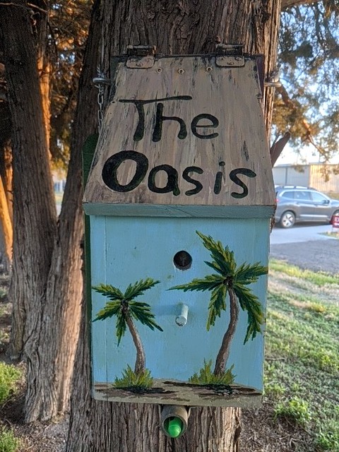 The Oasis Geocache