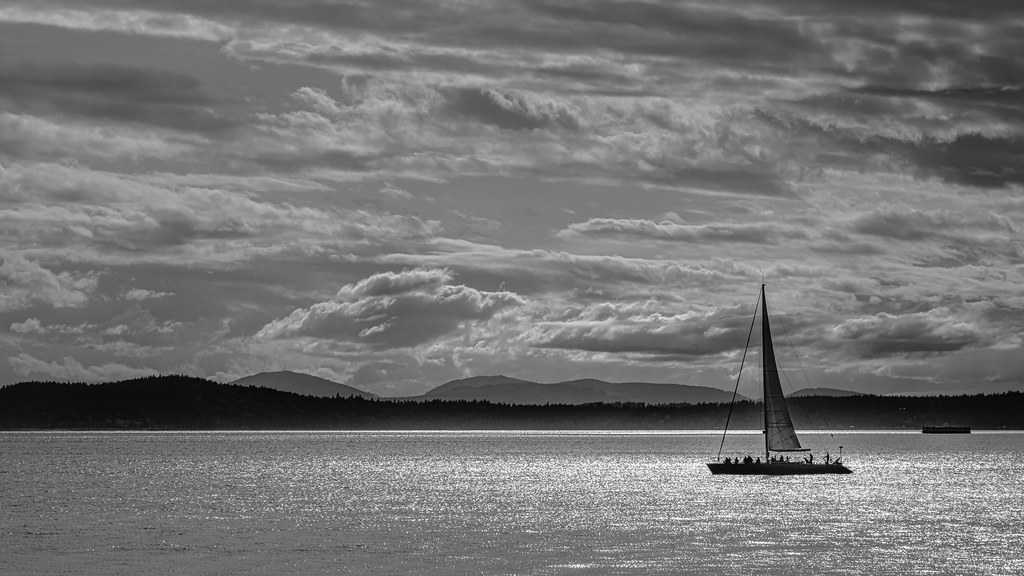 Sailboat on Elliott Bay, Downtown Seattle