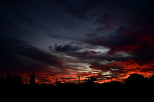 2021 sunset redsunset clouds nikond850 tamron35mmf18 powerpoles palmtrees bundaberg queensland australia may