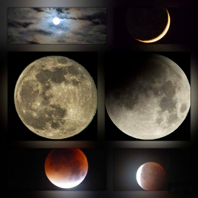 My moon collage