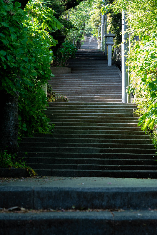 伊豆山神社 階段