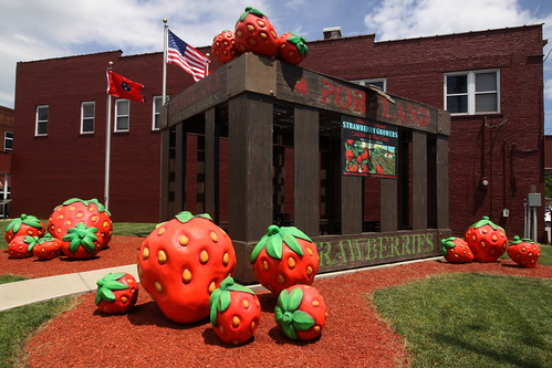 Oversized Strawberry Crate - Portland, TN