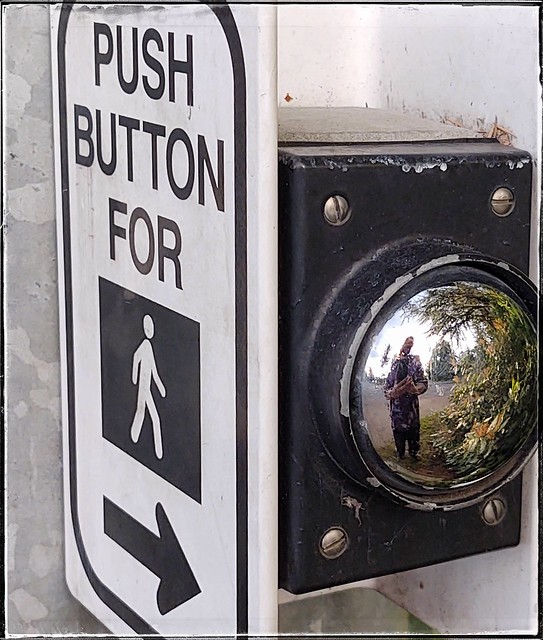 Push Button for 🚸