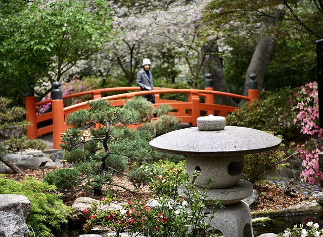 Girl on bridge (Japanese Gardens)