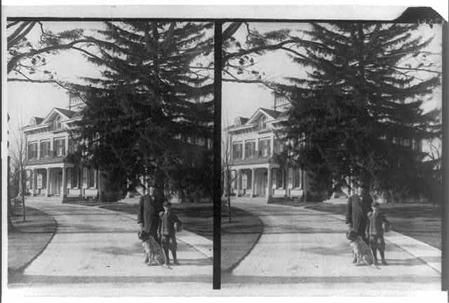 [Grover Cleveland, his son and dog posed on driveway, with house in background, Princeton, N.J.] (LOC)