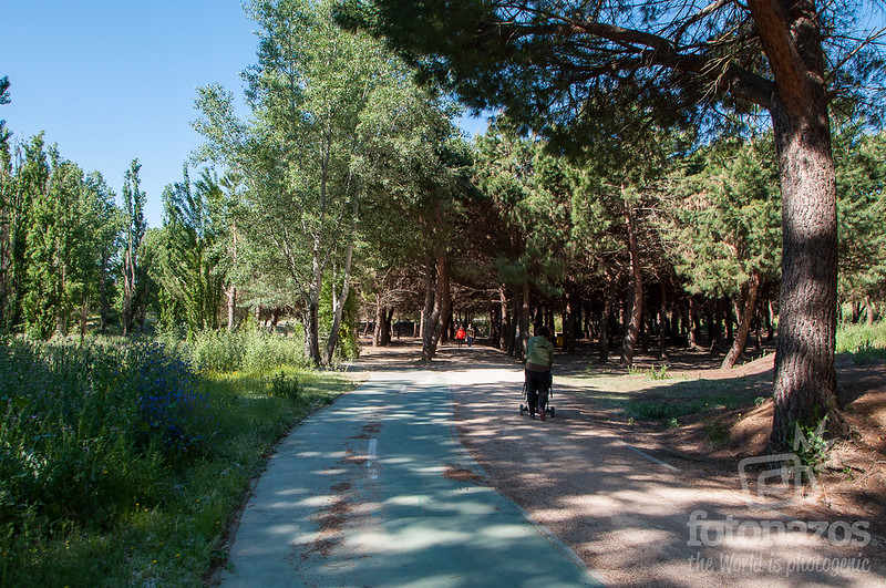 Ruta de los Molinos de Arroyomolinos
