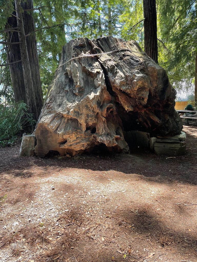 Williams Grove Trail