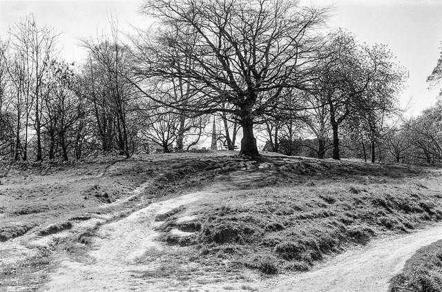 Hampstead Heath, Hampstead, Camden, 1990, 90-4e-43