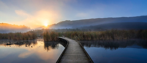 219 boardwalk hastings hawkesbay lake lakelandscape landscapephotography mist morning nature newzealand northisland pekapekawetlands sunrays sunrise sunshine walkways wetland nz poukawa