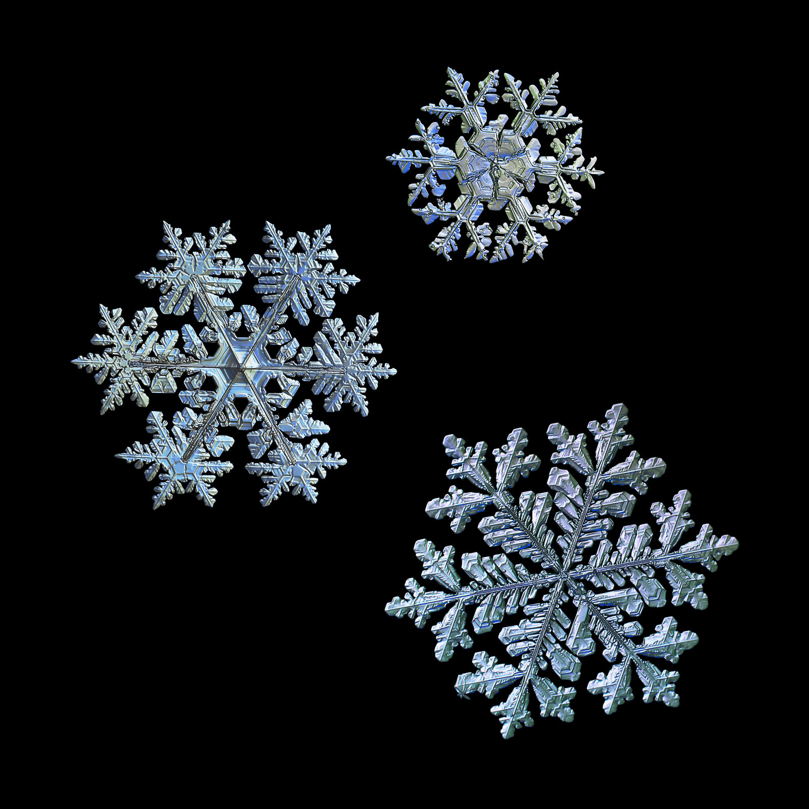 Three ornate snowflakes isolated on black background - prints at alexey-kljatov.pixels.com