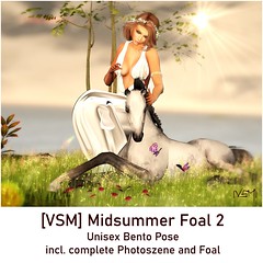 [VSM] Midsummer Foal 2