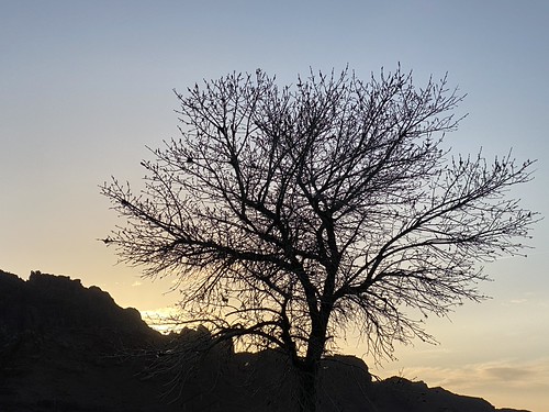 221. Sunset in Moab, Utah by rcribb1,