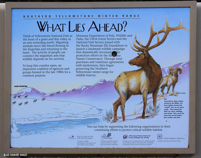 What Lies Ahead, Interpretive Sign, Emigrant Rest Area, Highway 89, Paradise Valley, Montana, USA
