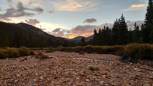 May Queen Campground, Turquoise Lake, CO (3) | by chfstew