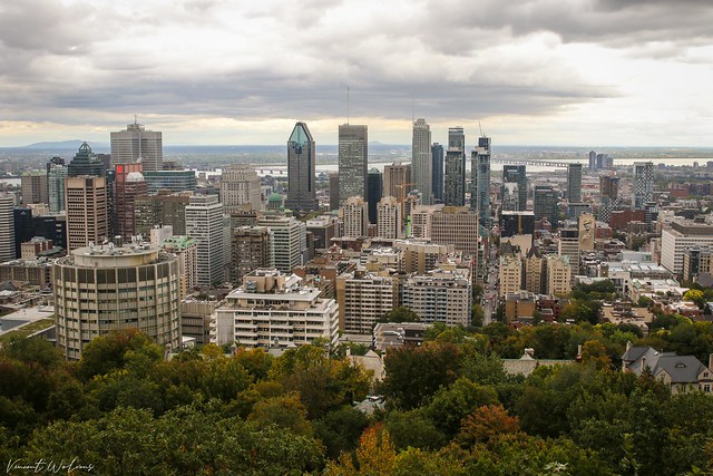Montréal City - 2019