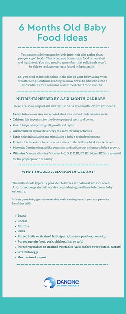 6 Months Old Baby Food Ideas