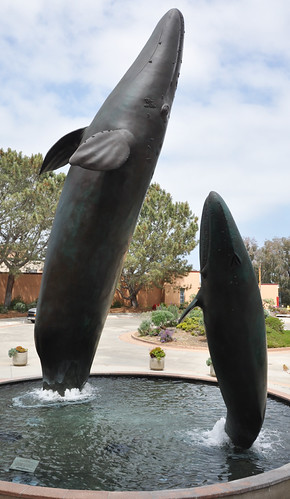 Gray Whales | by RoadsideArchitecture.com