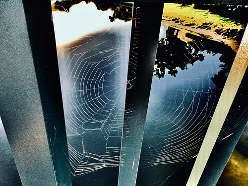 LOCAL ARTWORK | by Mr. Picture Perfect