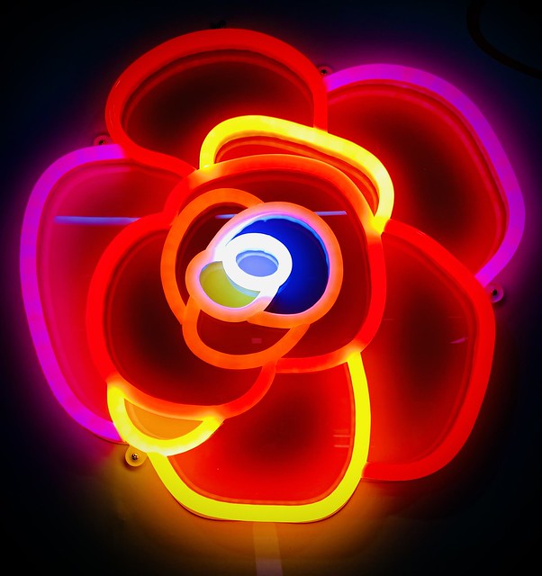 131/365 I was struck by this vibrant neon sign depicting a flower.  To me; it is the perfect antidote to a very cold miserable day.