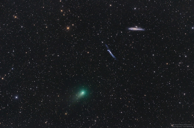 Comet C/2020 R4 (ATLAS) Passes by the Hockey Stick and Whale Galaxies APOD 5/13/2021