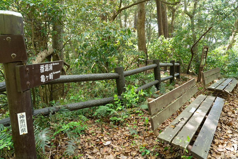 真鶴 森林浴遊歩道