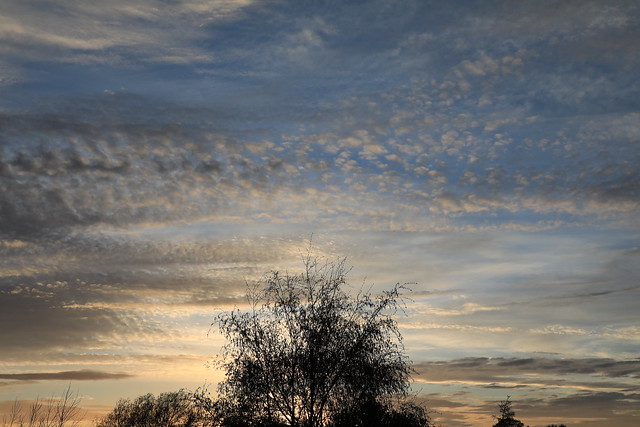 Late evening skies - Staffordshire