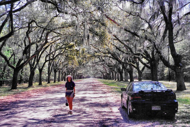 Savannah Georgia - United States -   Hanging Moss Oak Trees - 2003 Pontiac Grand Am GT