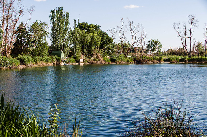 Parque Enrique Tierno Galván en San Martín de la Vega Parque Enrique Tierno Galván en San Martín de la Vega