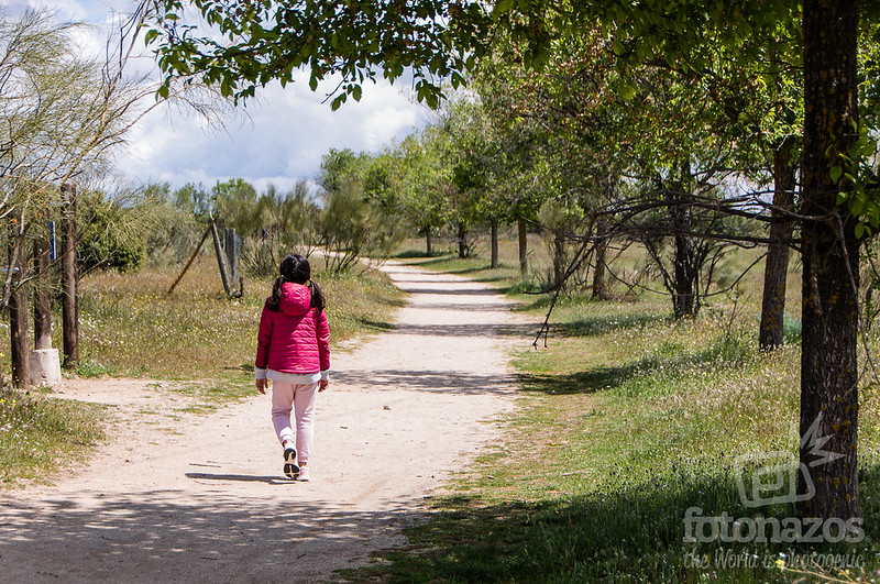 Área Recreativa La Ermita en Colmenarejo