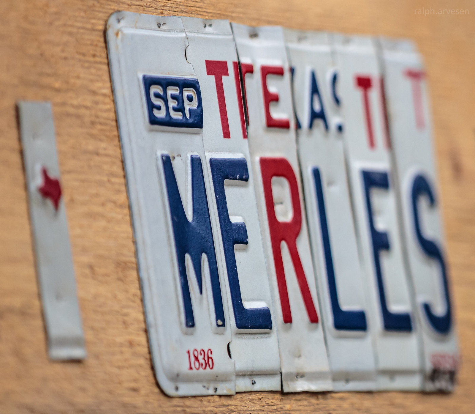 The Merles | Texas Review | Ralph Arvesen