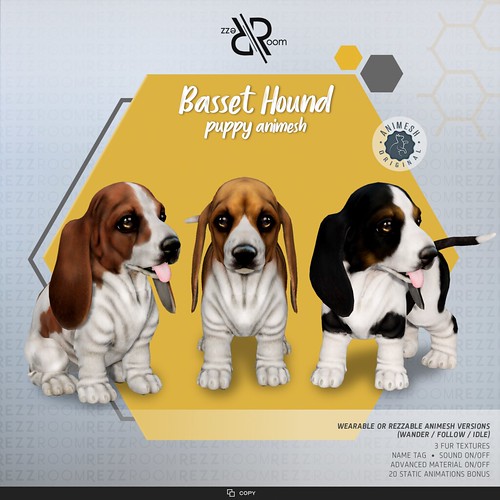 [Rezz Room] Basset Hound  Puppy Animesh (Companion)