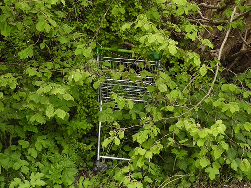 Asda Trolley, The Woodlands, Upper Cwmbran 12 May 2021 | by Torfaen Corvine