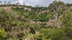 Mount Eliza Regional Park