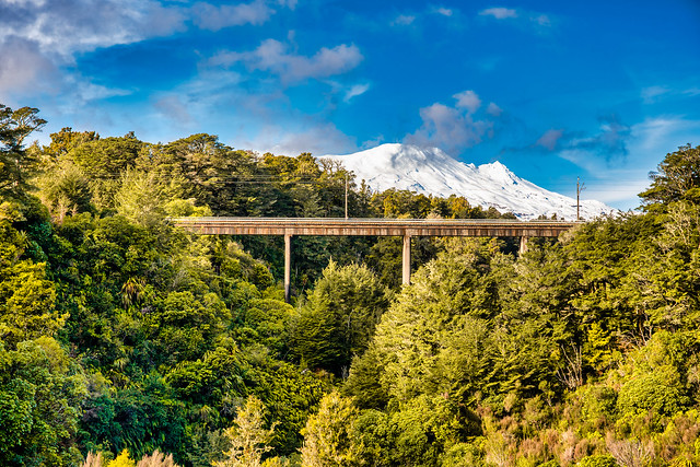 Railway bridge over a chasm through the native vegetation in the National Park with a backdrop of Mt Ruapehu