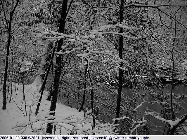 2005-01-08 338 Winter in Indiana - Southeastway Park [black & white]
