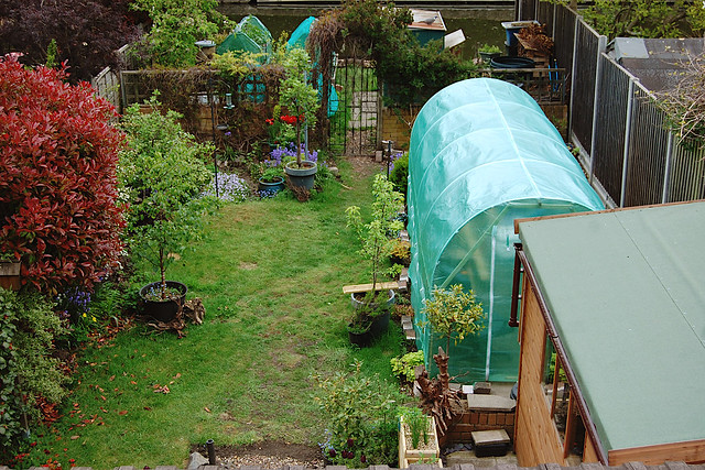 Looking Down on the Back Garden - May 2021