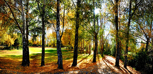 autumn fall seasons backlit lumix scenery landscape nature creativecommons “photographic image”neworleans